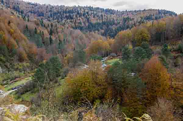 Reyno de Navarra - selva de Irati 09.jpg